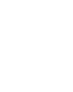 Gavel icon