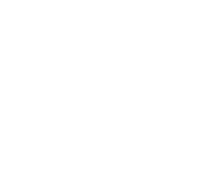 icon of ballot and ballot box