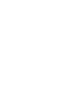 Map Pin Icon