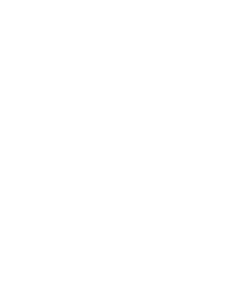 Ballot Box Icon